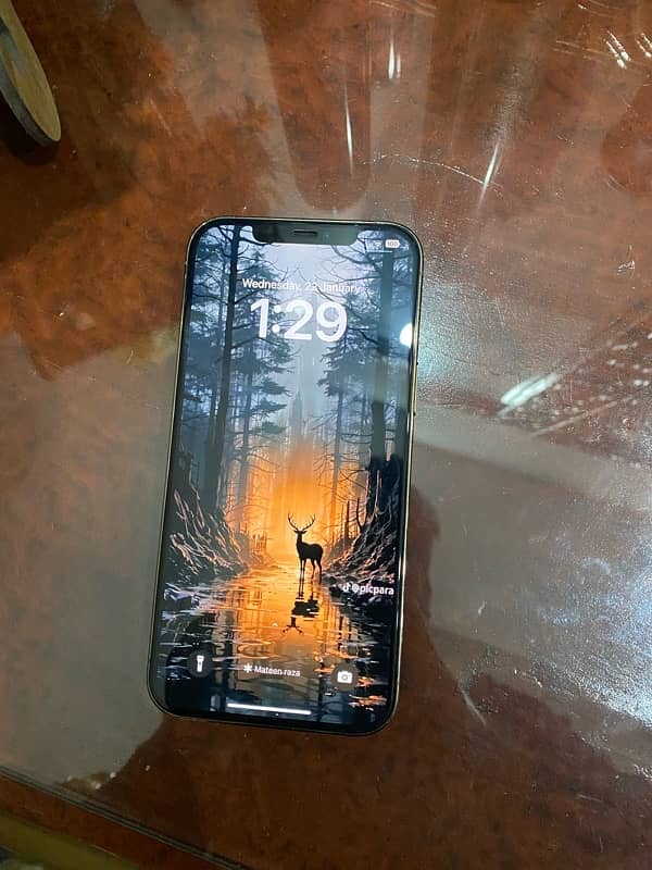 iphone 12 pro max 256gb pta approved garenteed water pack 2