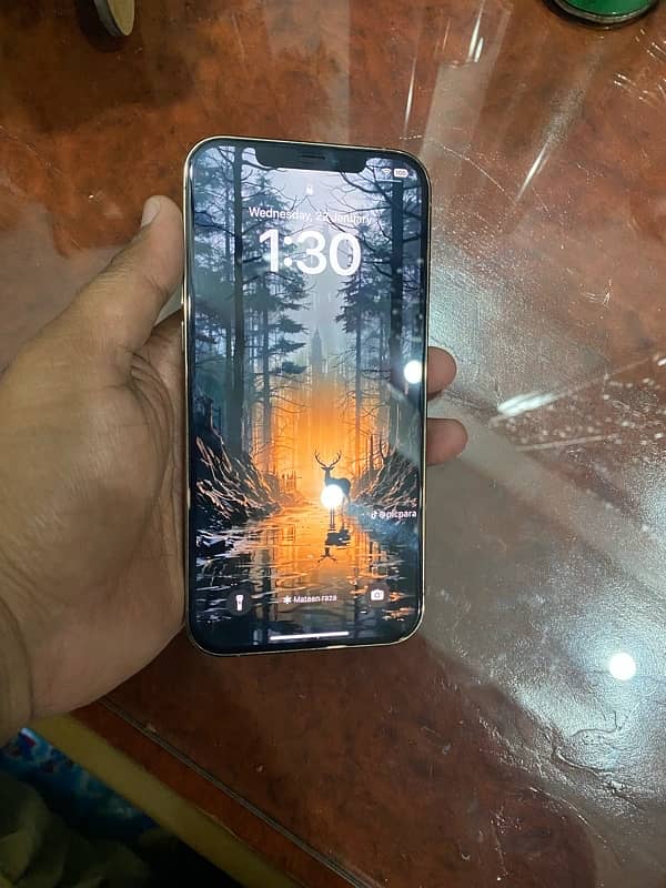 iphone 12 pro max 256gb pta approved garenteed water pack 6