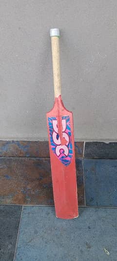 Cricket bat