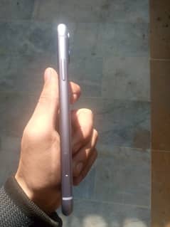 Aplle Iphone 11