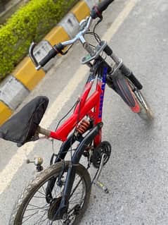 Mountain Bike