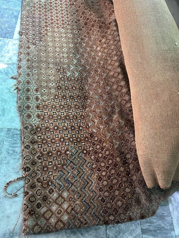 Used Carpet for Sale 2