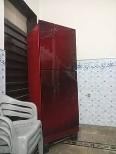 Pel jbo size fridge for sale