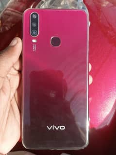 vivo