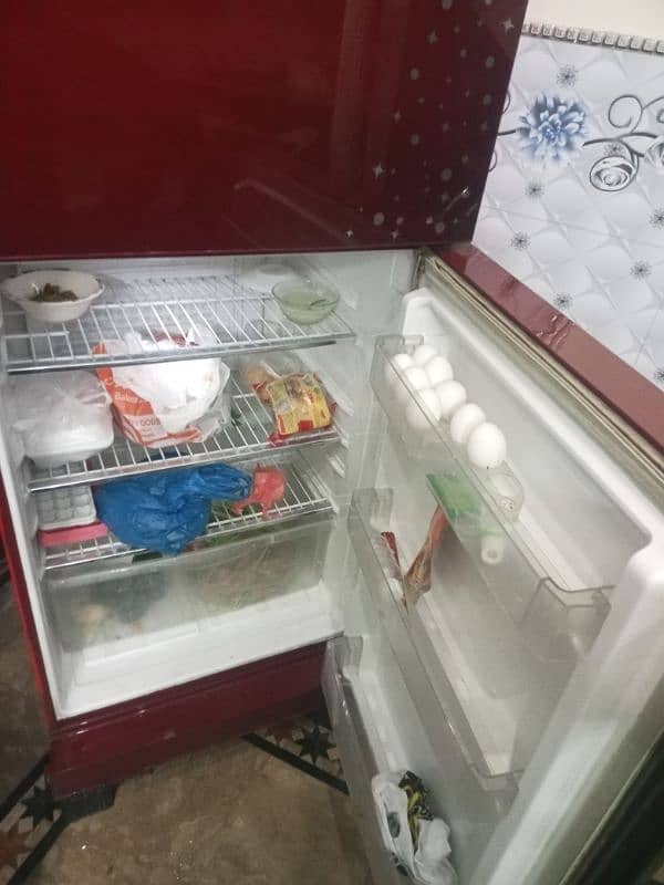 Pel jbo size fridge for sale 2