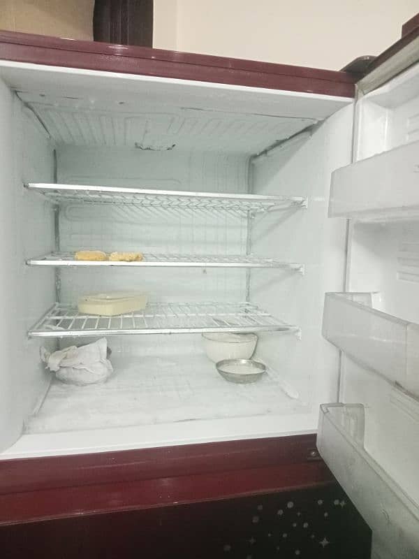 Pel jbo size fridge for sale 3