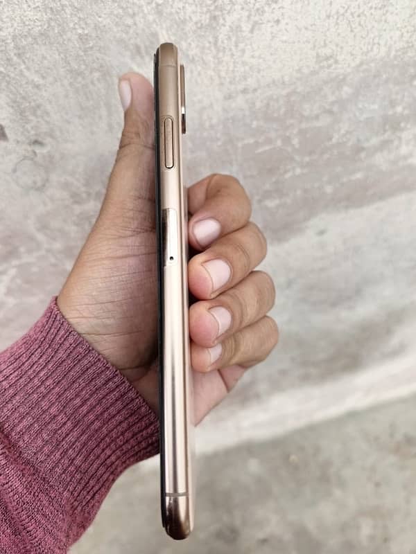 XS Max 256GB Golden PTA 1