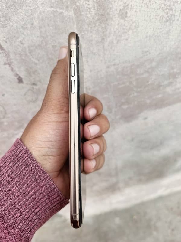 XS Max 256GB Golden PTA 4