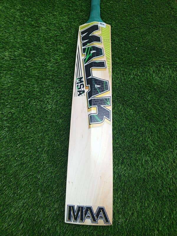 Hardball Cricket Bat 1