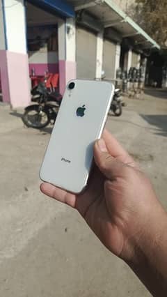 iPhone XR 64 gb