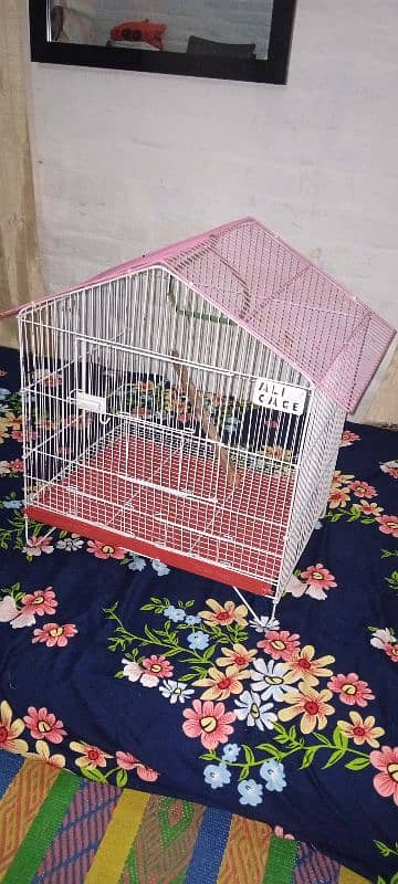 Cage for sale 1