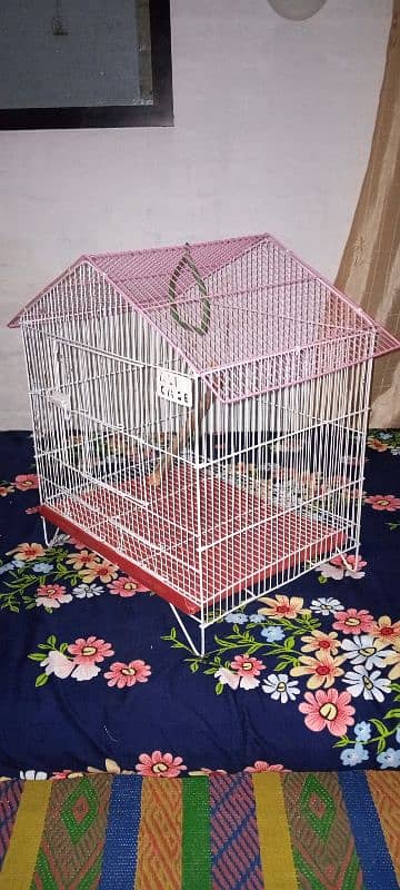 Cage for sale 2