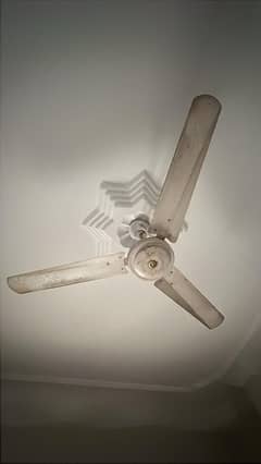 Cieling Fans