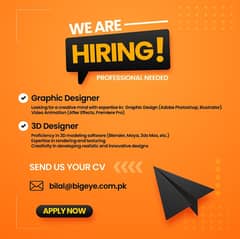 Graphic & 3D Designer