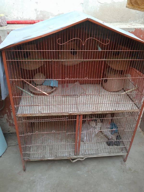 Brids Cage 1