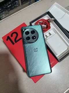 ONE PLUS 12 OFFECIAL PTA APPROVED 16-512 FULL BOX