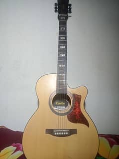 Acoustic guitar