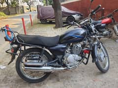 suzuki gs 150