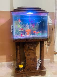 Fish Aquarium | 2 feet | With All Equipment