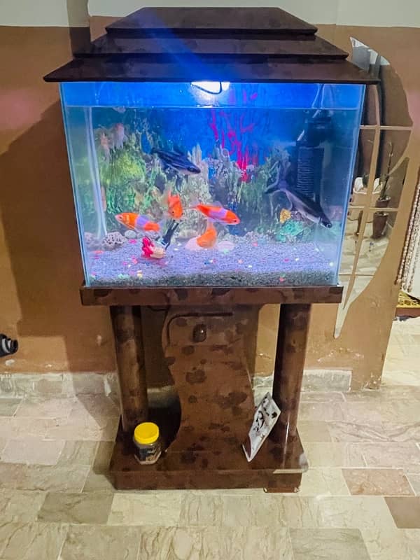 Fish Aquarium | 2 feet | With All Equipment 1