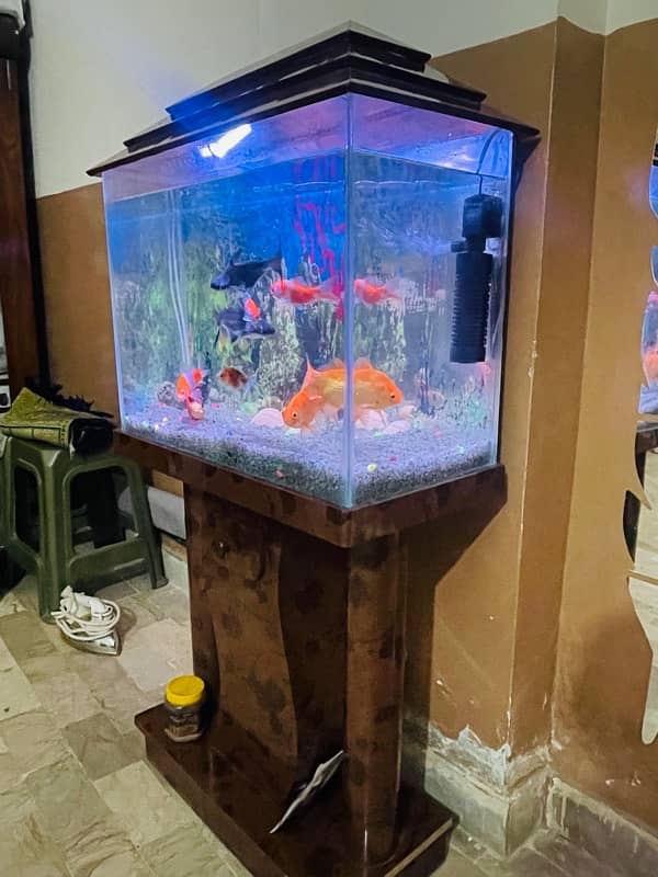 Fish Aquarium | 2 feet | With All Equipment 2