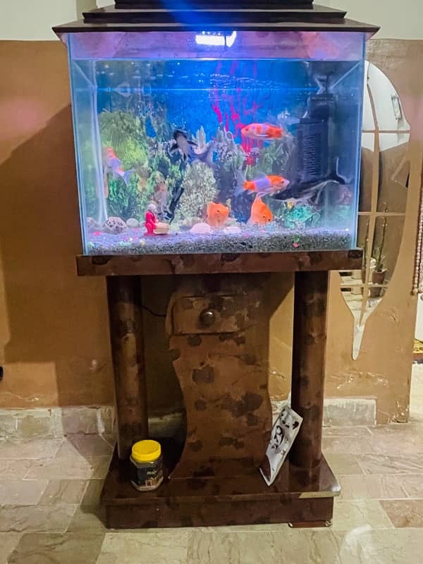 Fish Aquarium | 2 feet | With All Equipment 3