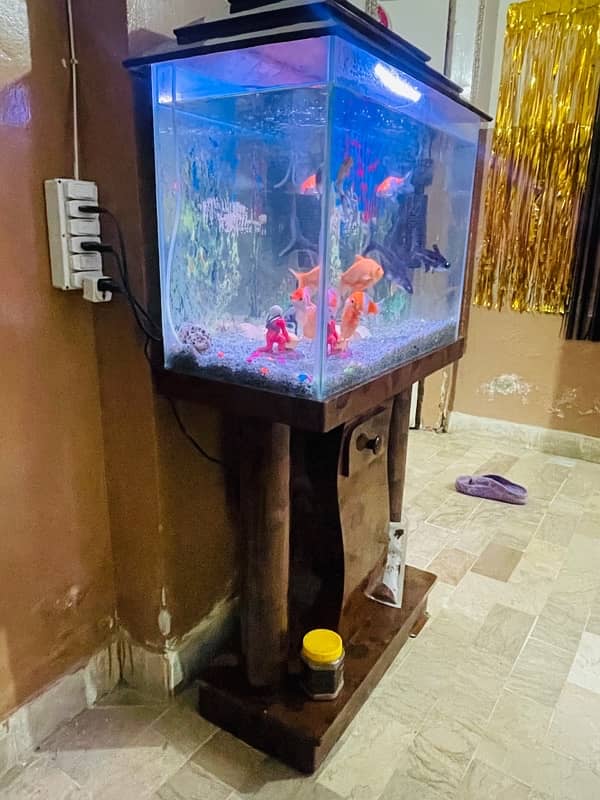 Fish Aquarium | 2 feet | With All Equipment 4