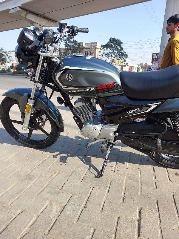 yb 125Z dx all ok lush condition 2024 model 10/10 condition 11