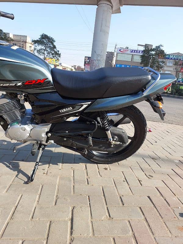 yb 125Z dx all ok lush condition 2024 model 10/10 condition 16