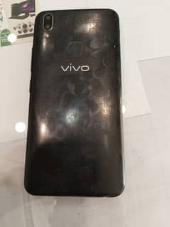 VIVO