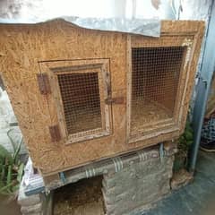 Aseel cage for sale