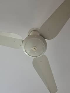 Deluxe plus fan