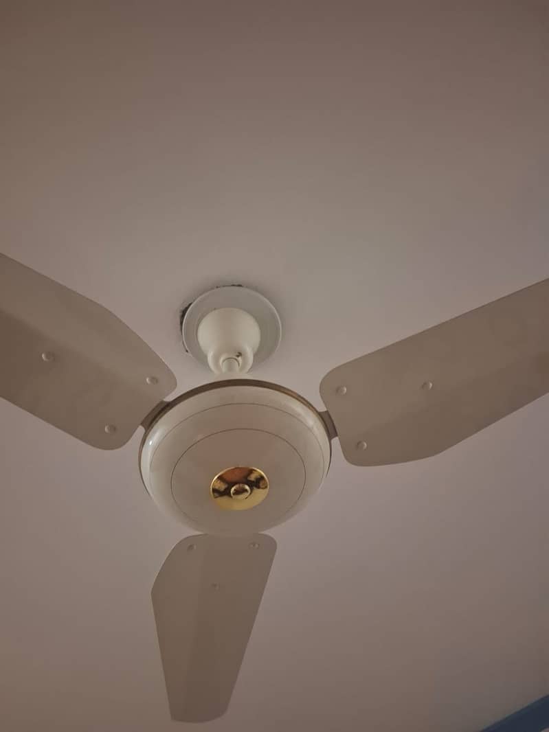 Deluxe plus fan 1