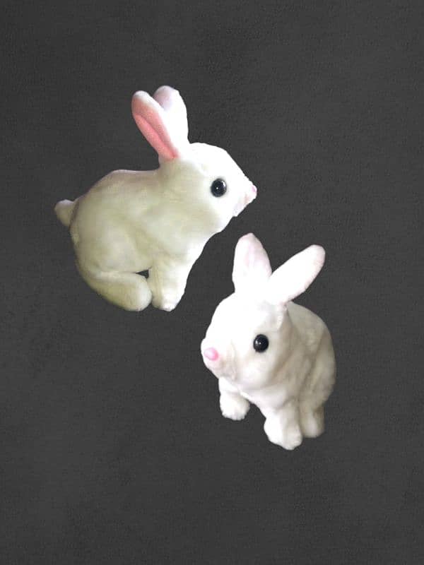 NEW RABBIT MOVEMENT TOYS 1