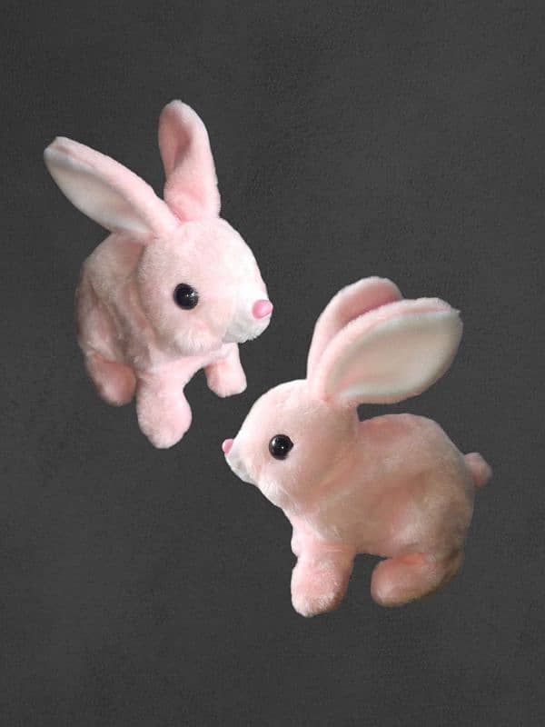 NEW RABBIT MOVEMENT TOYS 2