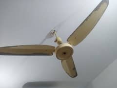 cooper wierd durable cieling fan fpr sale