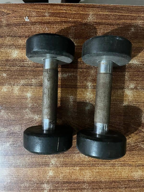 6kg & 3kg Dumbbells for Sale - Excellent Condition. 1