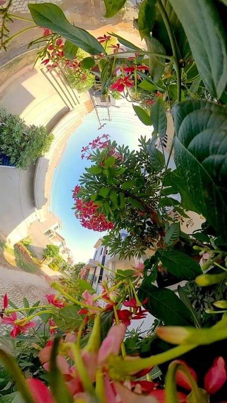 360 Virtual Photography 2