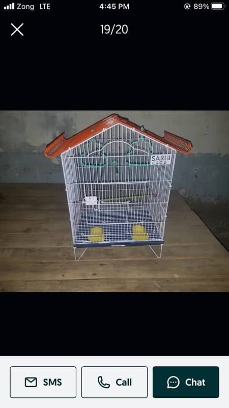 Pinjra Finch and Parrots 0