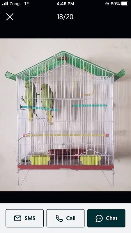 Pinjra Finch and Parrots 1