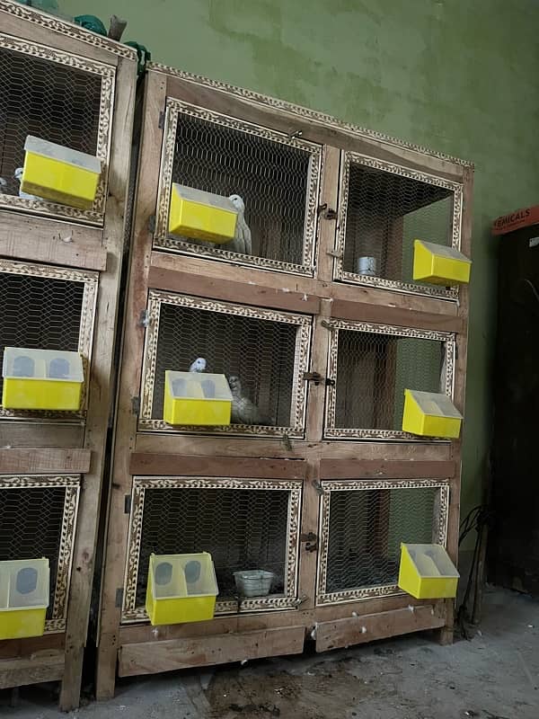 2 cage for sell 1