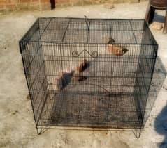 cage for parrot. .