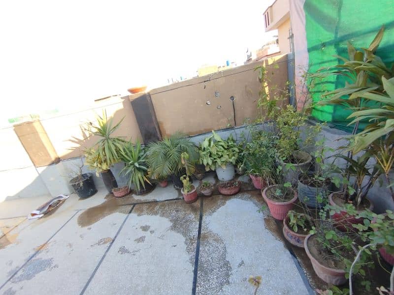 plants with pots 2