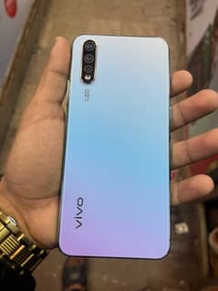 vivo