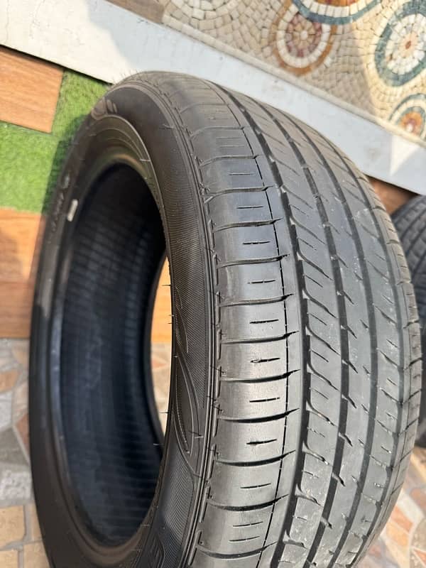 Dunlop japani tires 8