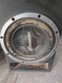 Pioneer Wooder D4 double Coil Saudia purchase