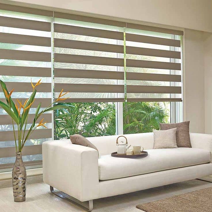 Windows Blinds / Chick Blinds / Fabric Shutter Blinds / Zebra Blinds 5