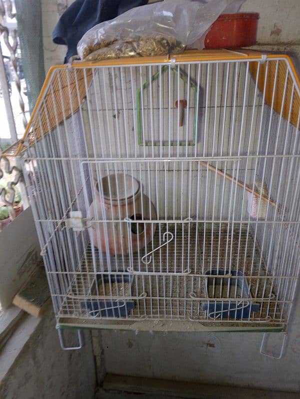 Birds Cage 0