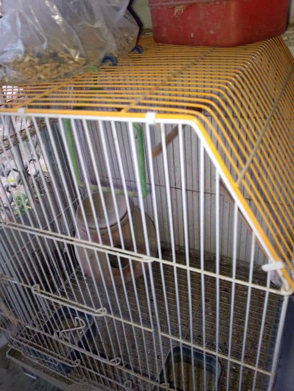 Birds Cage 3