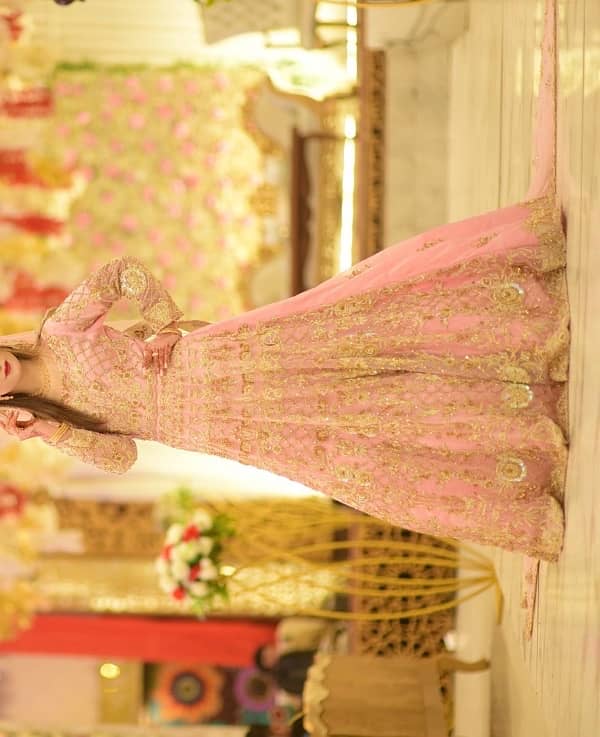 Pink Color Walima Dress With big tail dupatta 2